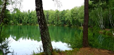 Ożarowskie „morskie oko” - perełka wśród lasów Nadleśnictwa Wieluń